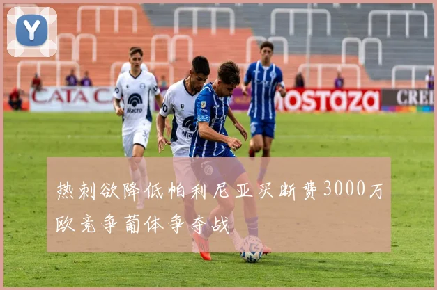 热刺欲降低帕利尼亚买断费3000万欧竞争葡体争夺战
